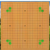 囲碁AI・LeelaZeroの検討機能 | okaoの囲碁研究所